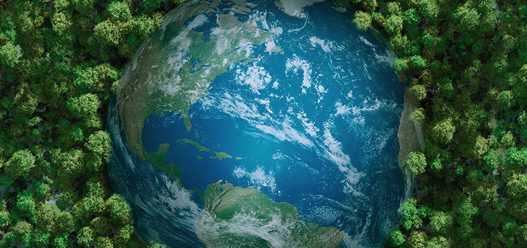 Coloray deltar aktivt i den globale miljøvernsaken.